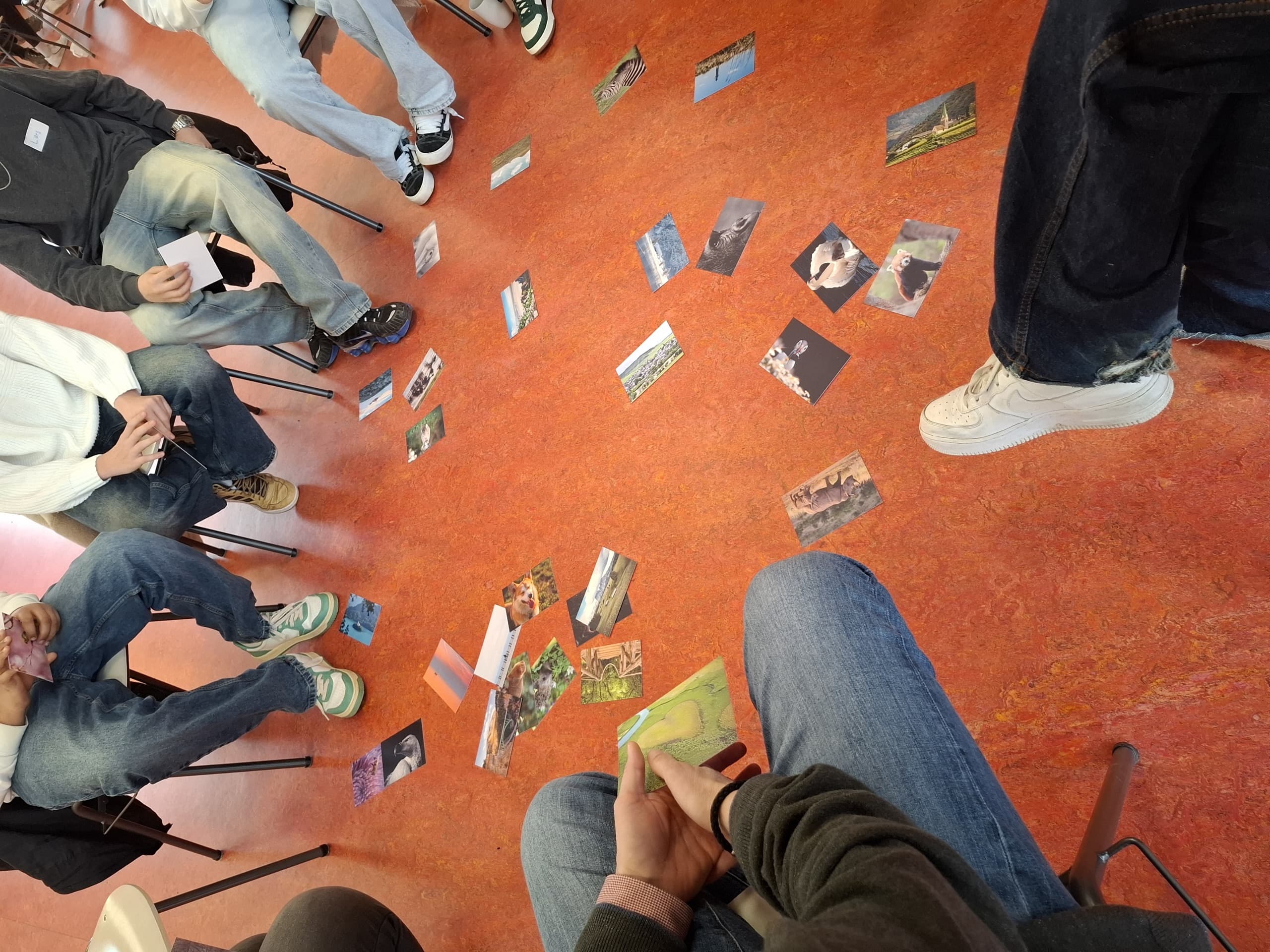 Schüler*innen und Lehrkräfte sitzen in einem WGS-Workshop im Kreis um ausgelegte Bildkarten.